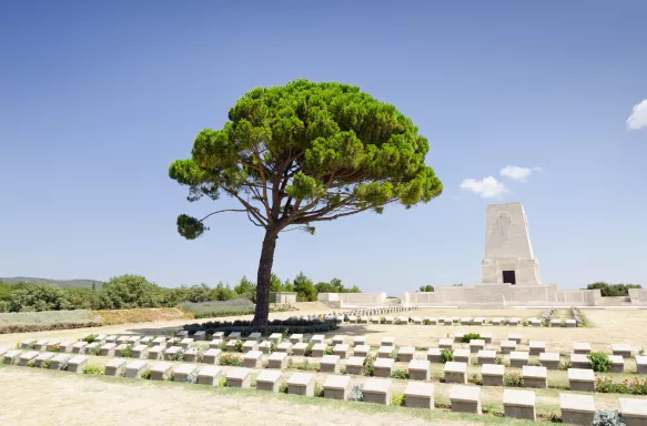 Anzac Lone Pine Memorial featuring a single pine tree amongst white grave markers