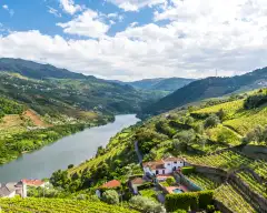 Vineyards and Landscape of the Douro river region in Portugal