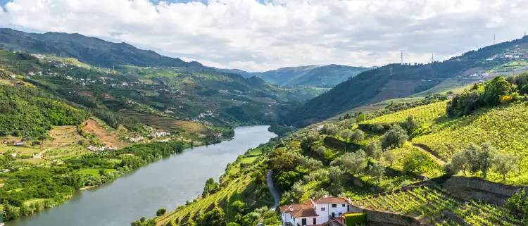 Vineyards and Landscape of the Douro river region in Portugal